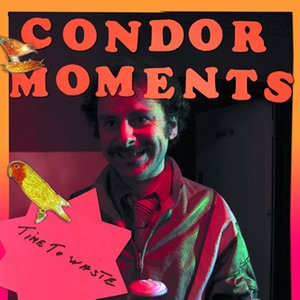 Image for 'Condor Moments'