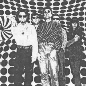 The Cryptones 的头像