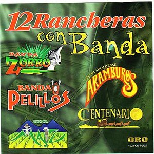 12 Rancheras con Banda