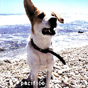 Pacifico