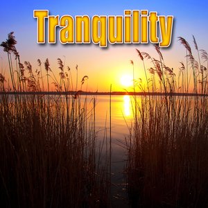Tranquility (Nature Sounds)