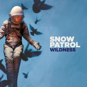 Wildness cover