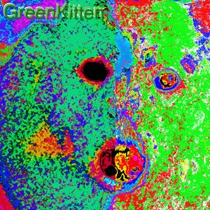 Avatar for Green Kitten