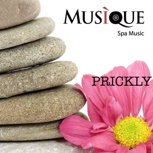 Prickly (Musique - Spa Music)
