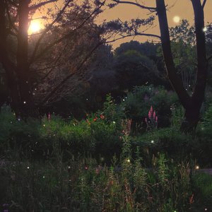 Nature on Record 的头像