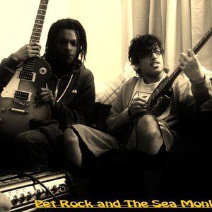 Avatar for Pet Rock and the Sea Monkeys