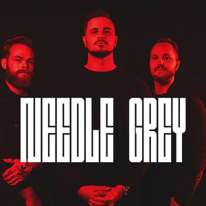 Image for 'Needle Grey'