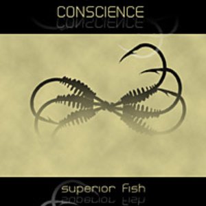 Superior fish