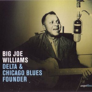 Saga Blues: Delta & Chicago Blues Founder