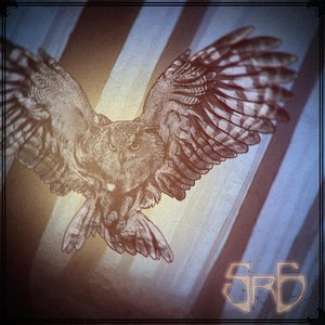 Owls