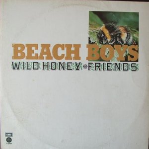 Wild Honey / Friends
