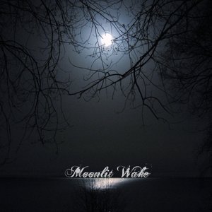 Аватар для Moonlit Wake