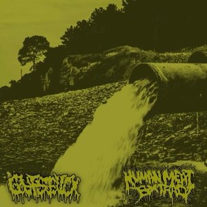 GUTSFUCK x HUMAN MEAT EXTRACT SPLIT