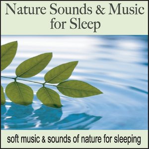 Nature Sounds & Music for Sleep: Soft Music & Sounds of Nature for Sleeping, Sleep Music with Ocean Waves and Forest Sounds