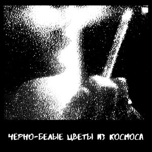 Черно-белые цветы из космоса