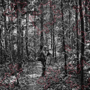 The Amazon​—​where the Moon Wept
