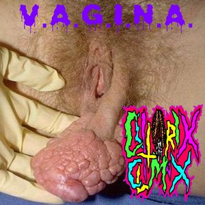 V.A.G.I.N.A.