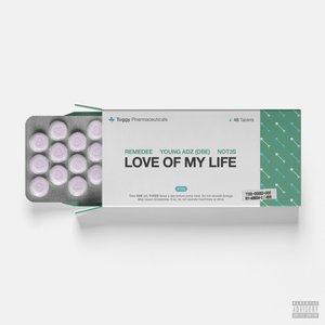 Love of My Life (feat. Not3s & Young Adz) - Single