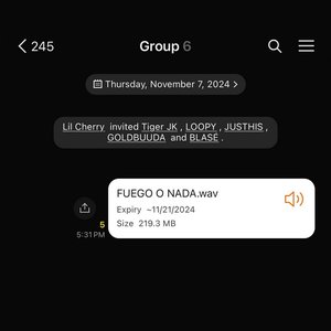 FUEGO O NADA (feat. BLASÉ, LOOPY, GOLDBUUDA, JUSTHIS & Tiger JK) - Single