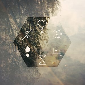 Blank Forest 的头像