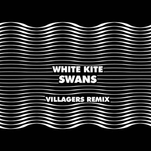 Swans (Villagers Remix)