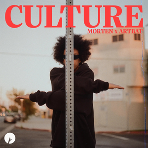 Artwork for CULTURE