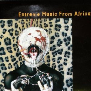 Image for 'Extreme Music From Africa'