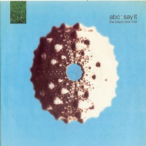 Say It (The Black Box Mix)