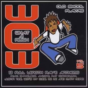 Wow What A Rush Vol 5 - Old Skool Flavas