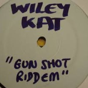 Gun Shot Riddim (Pulse Eskimo) / Tweet Riddim (The Bird Tune)