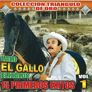 15 Primeros Exitos Vol. 2