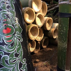 Sanggar Tripittaka 的头像