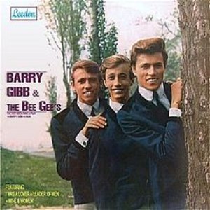 The Bee Gee's Sing And Play 14 Barry Gibb Songs