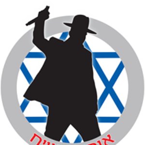“אוהד משיח”的封面