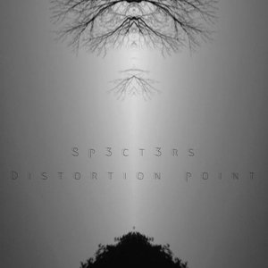 distortion point