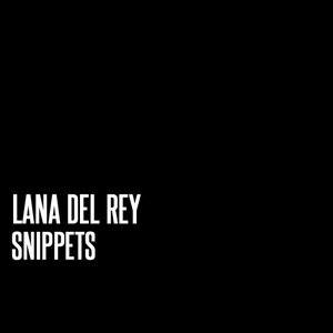 “Snippets”的封面