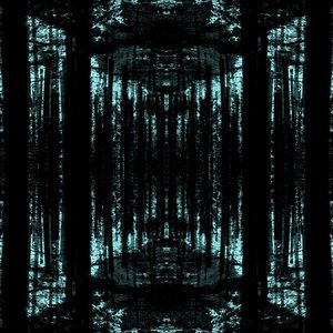 Cruish-Nir 的头像