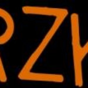 rzk 的头像