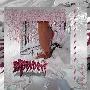P A T O V I KK A 的头像