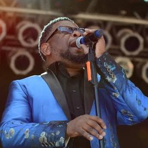 Pee Wee Callins 的头像