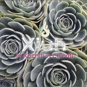 In Xochitl in Cuicatl