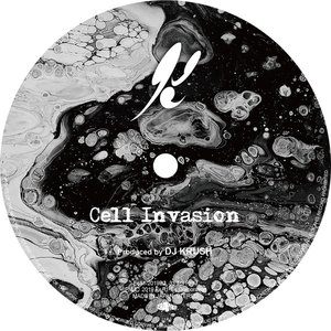 Cell Invasion