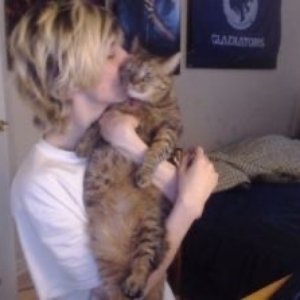 XQC 的头像