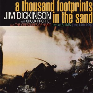 A thousand footprints in the sand