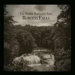 Burgess Falls