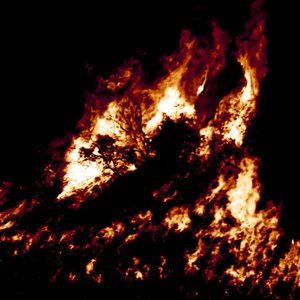 Wildfire