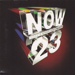 Now That's What I Call Music 23