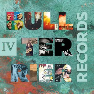 BTR-IV