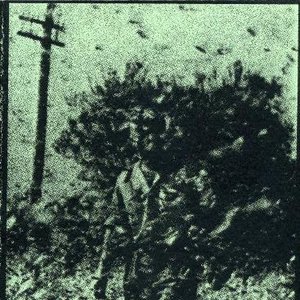 Weirding Module 的头像