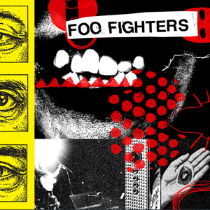 Cover Foo Fighters – Caught In The Echo